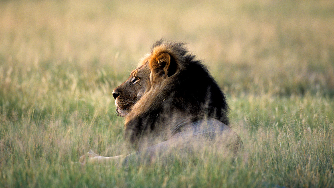 Namibia